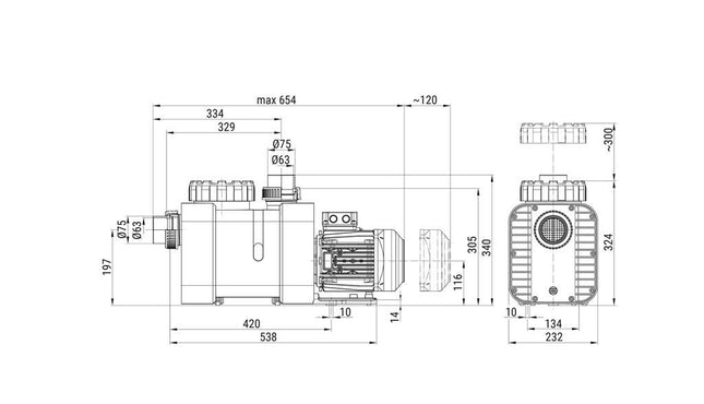 Pompe de piscine Badu Delta Eco VS