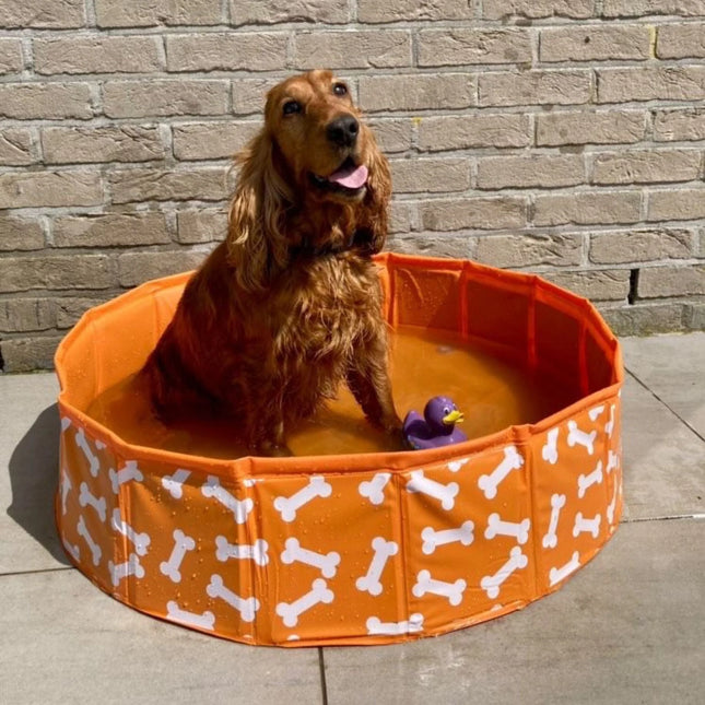 Swim Essentials - Bonebash | Orangefarbener Hundepool Ø 80 cm