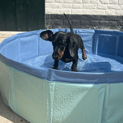 Swim Essentials - Blues | Mintgroen Honden Zwembad Ø 80 cm