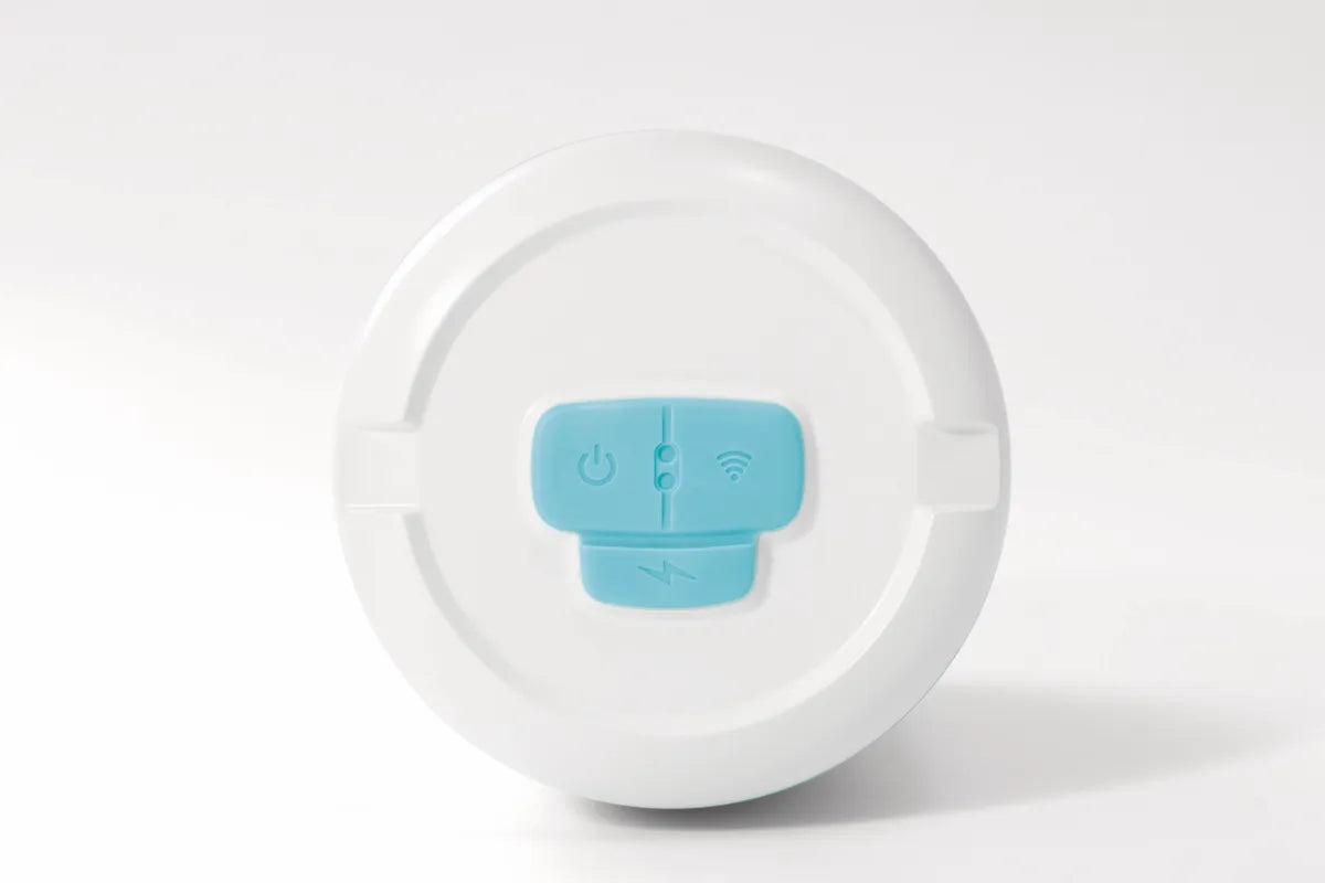 Intex Digitale Zwembadtester (WiFi)