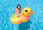 Paseo Inflable Pato Intex 147cm x 147cm x 81cm