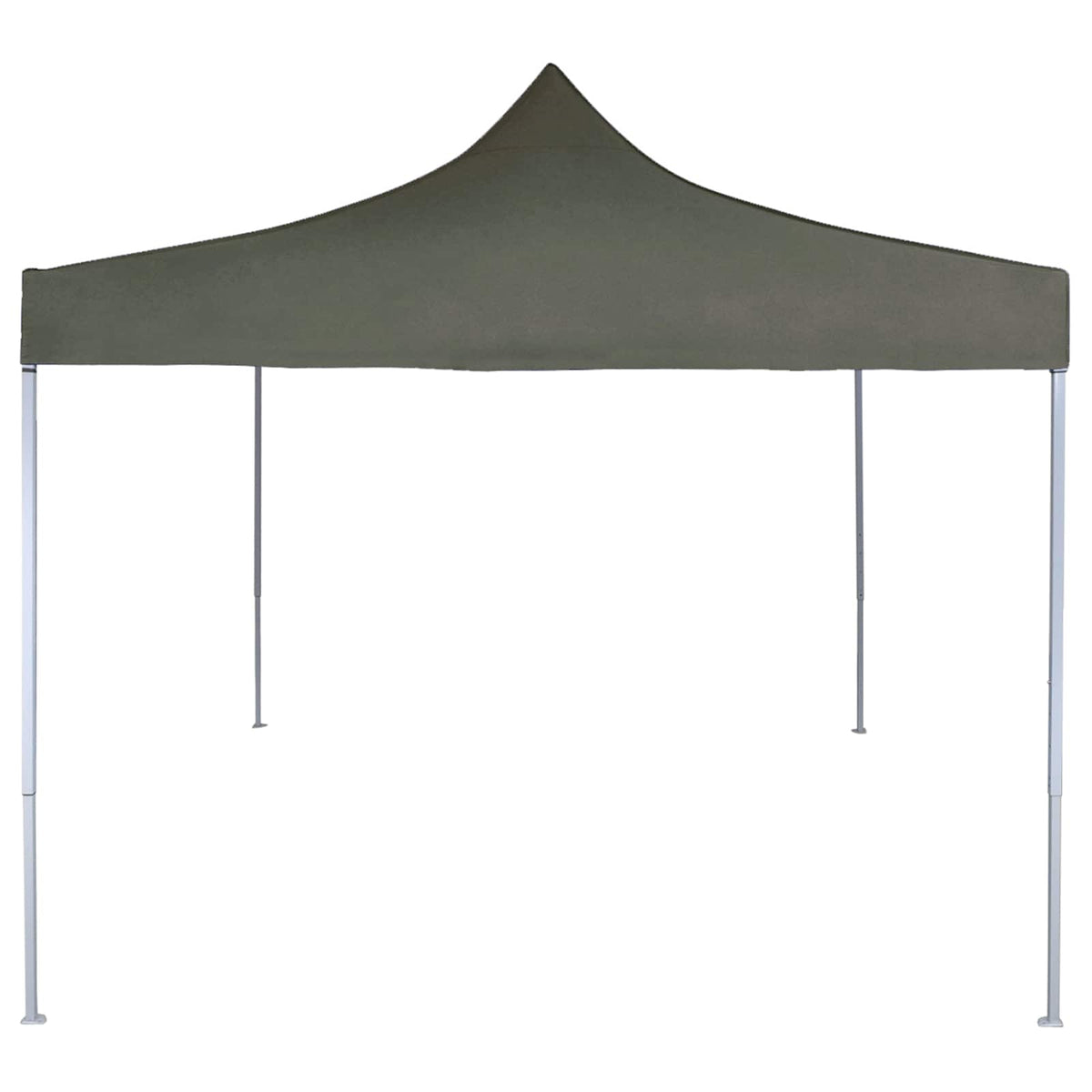 Partytent 200 X 200 X 315 Cm Oxford Stof