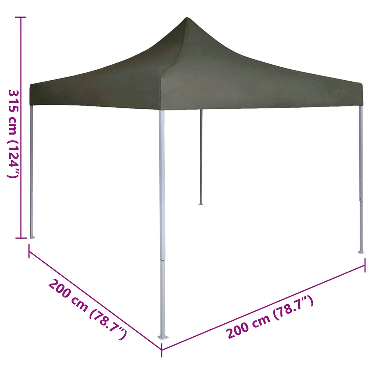 Partytent 200 X 200 X 315 Cm Oxford Stof