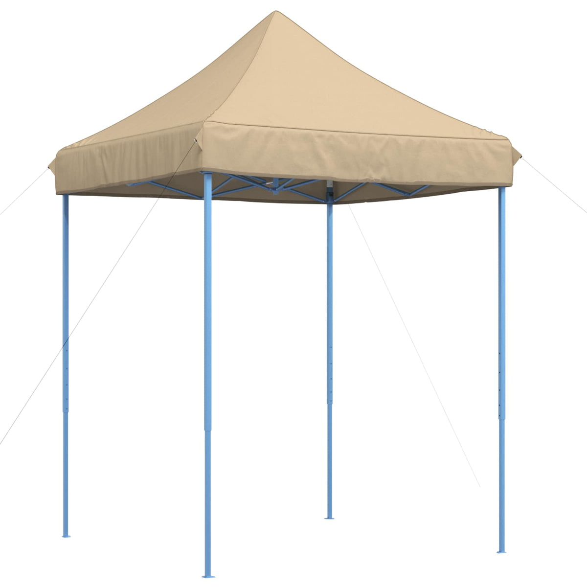 Partytent 200 X 200 X 306 Cm Oxford Stof
