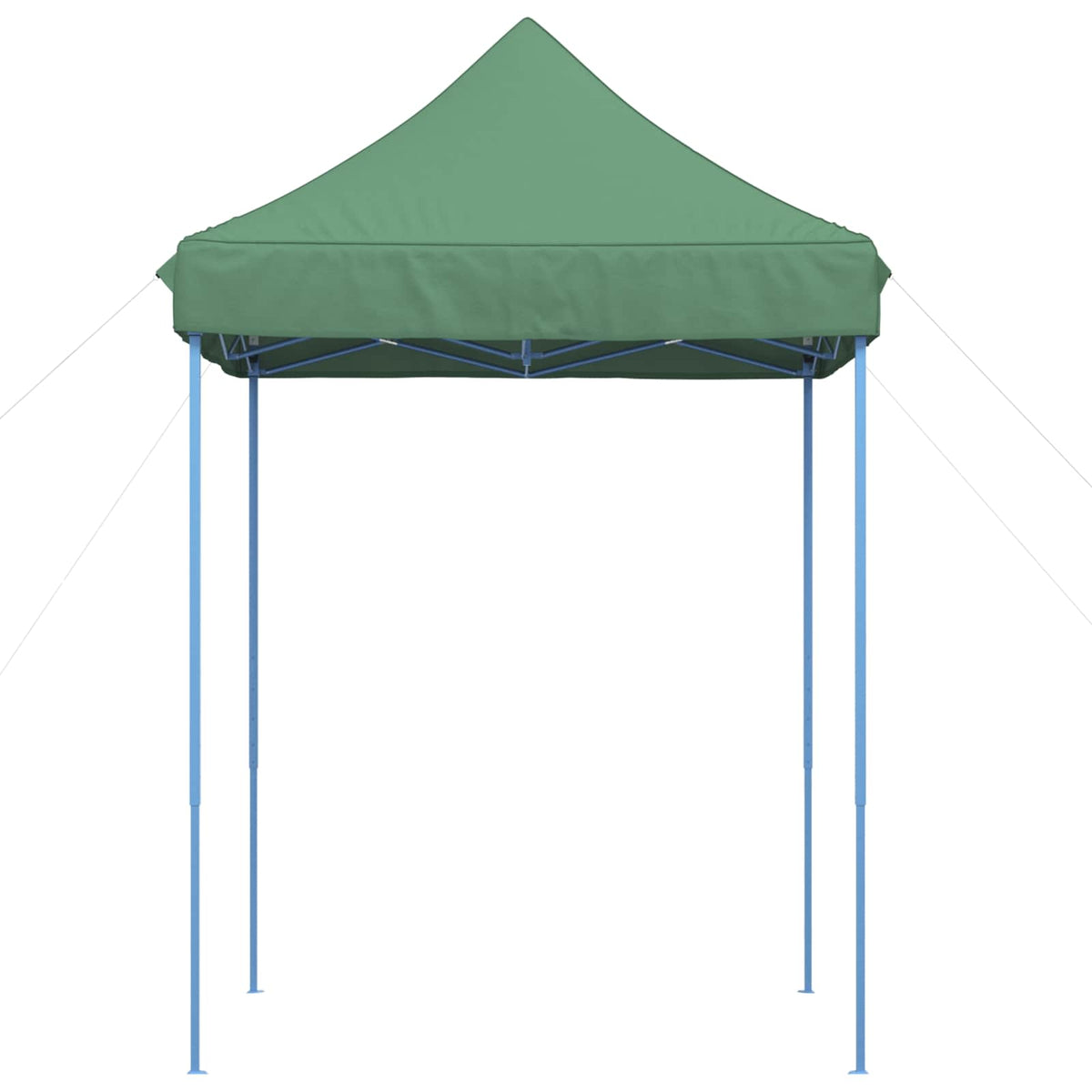 Partytent 200 X 200 X 306 Cm Oxford Stof