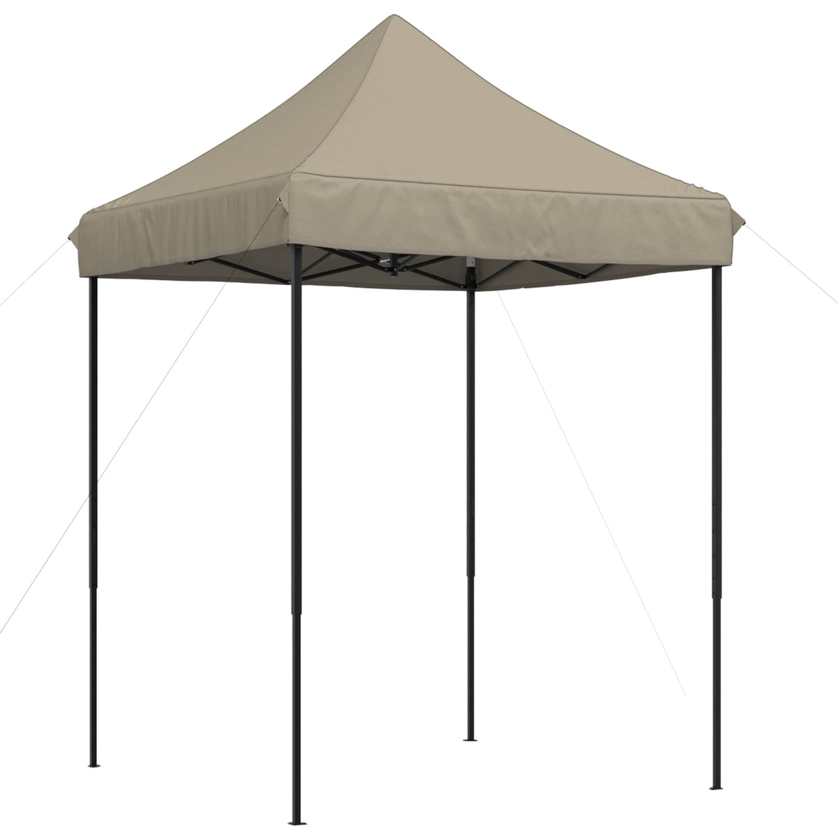 Partytent 200 X 200 X 306 Cm Oxford Stof