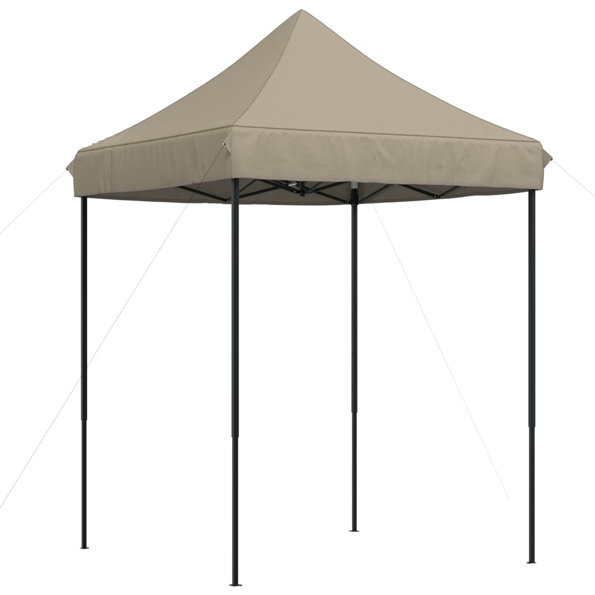 Partytent 200 X 200 X 306 Cm Oxford Stof
