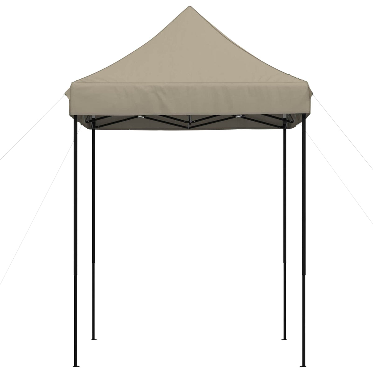 Partytent 200 X 200 X 306 Cm Oxford Stof