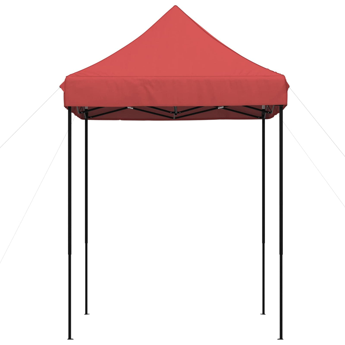 Partytent 200 X 200 X 306 Cm Oxford Stof