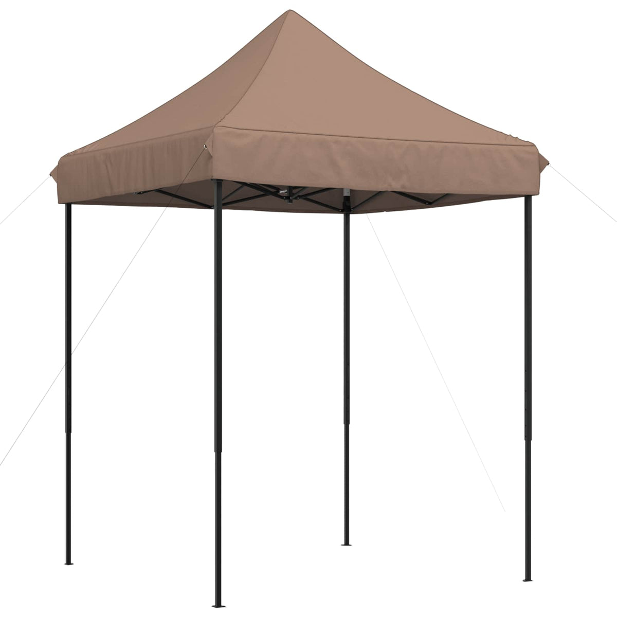 Partytent 200 X 200 X 306 Cm Oxford Stof