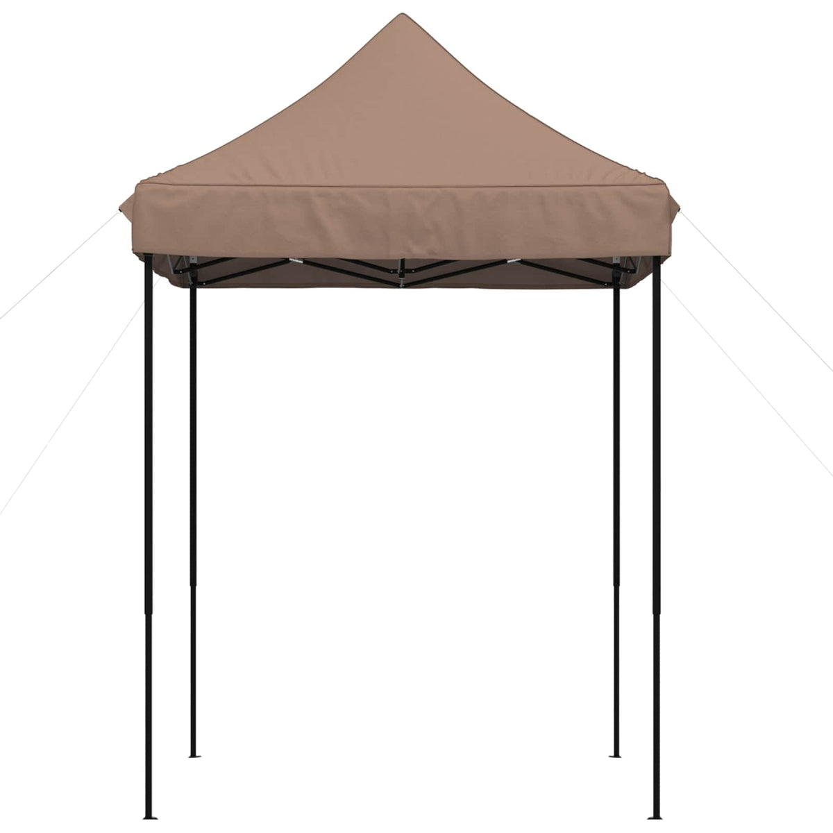 Partytent 200 X 200 X 306 Cm Oxford Stof