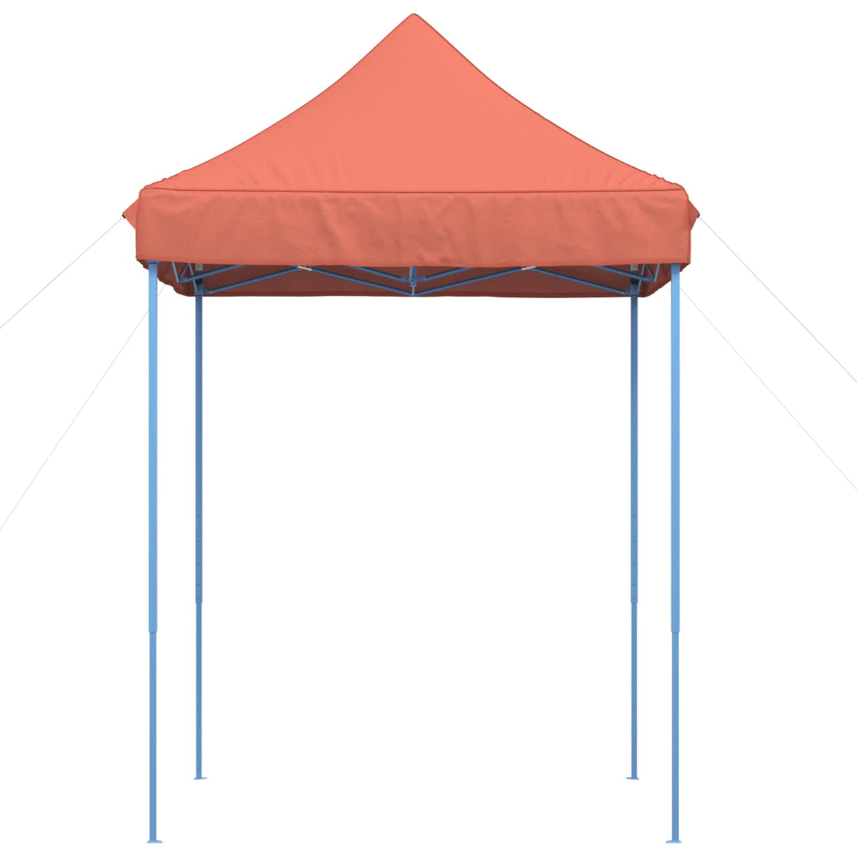 Partytent 200 X 200 X 306 Cm Oxford Stof