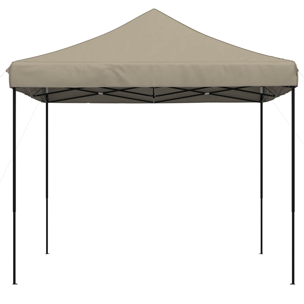 Partytent 292 X 292 X 315 Cm Oxford Stof