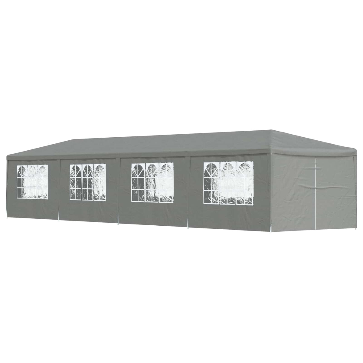 Partytent 600 X 300 X 255 Cm Pe En Staal