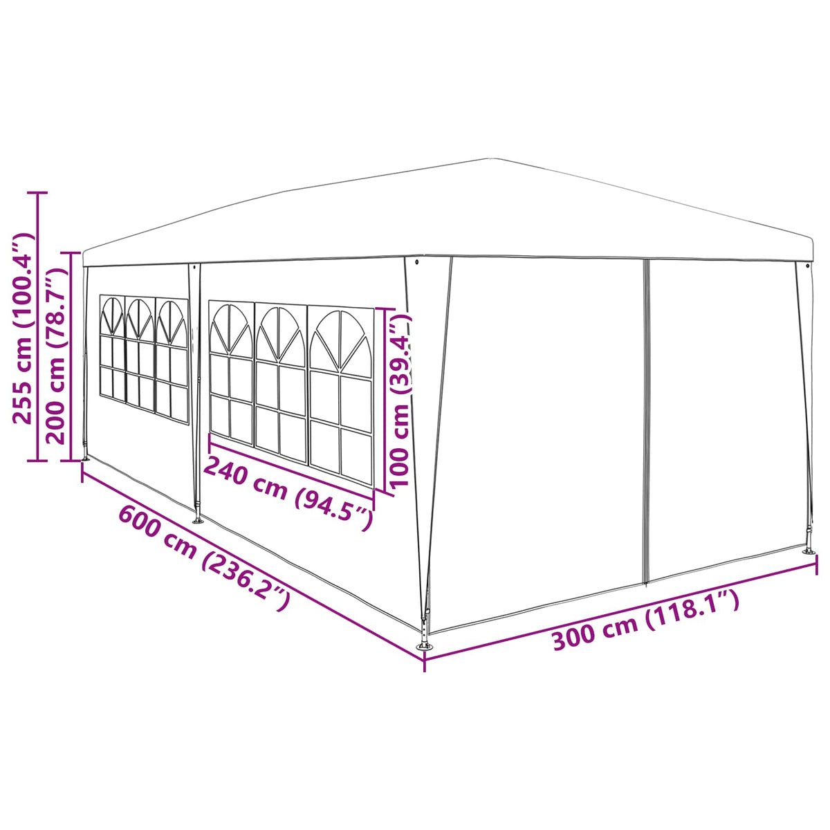 Partytent 600 X 300 X 255 Cm Pe En Staal
