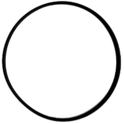 O-ring voor filtercartrige ( PC-09DK004735 ) voor Poolican