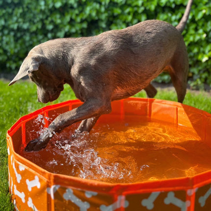 Swim Essentials - Bonebash | Oranje Honden Zwembad Ø 80 cm
