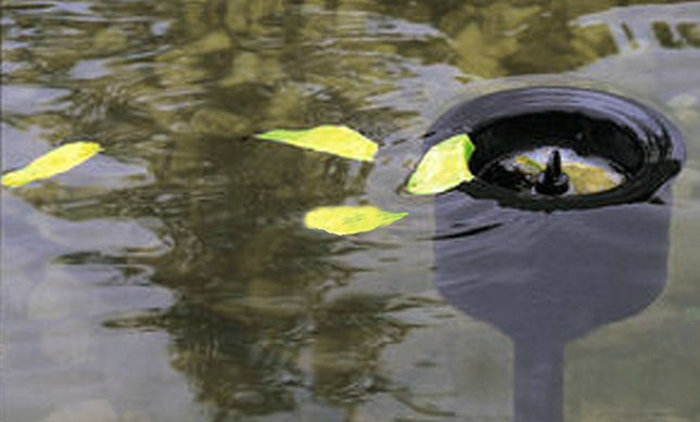 Écumeur flottant Aquaforte sur pied