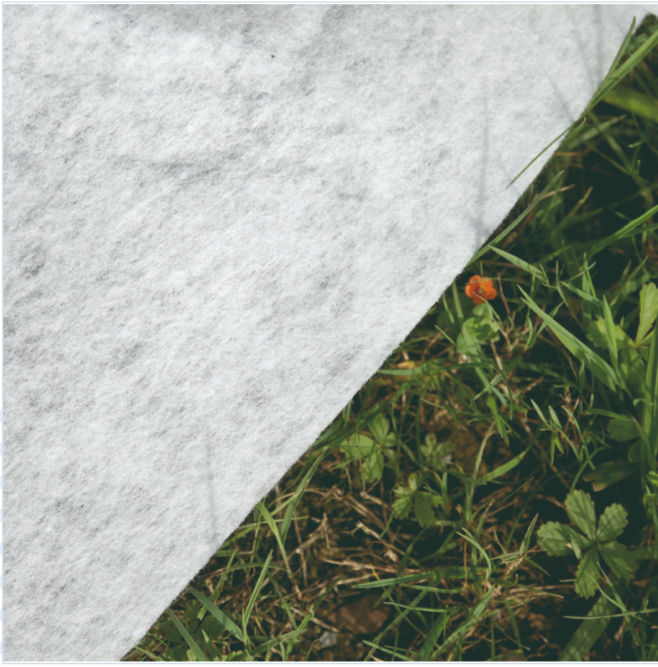 Gre Madagascar Ovale 600 x 320 x ↕150 cm 