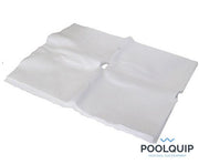 Dolphin Filter Disposable (Kit Of 10) - Azzura Pool