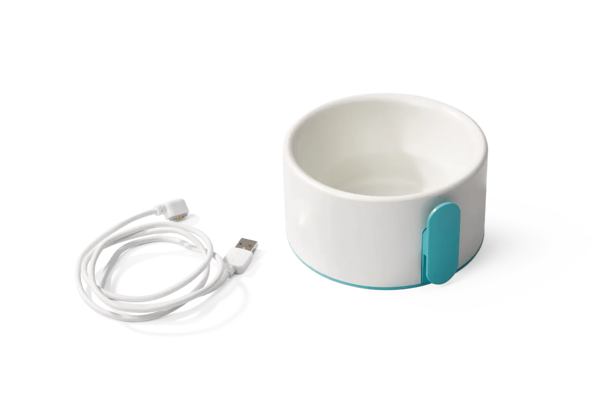 Intex Digitale Zwembadtester (WiFi) - Azzura Pool