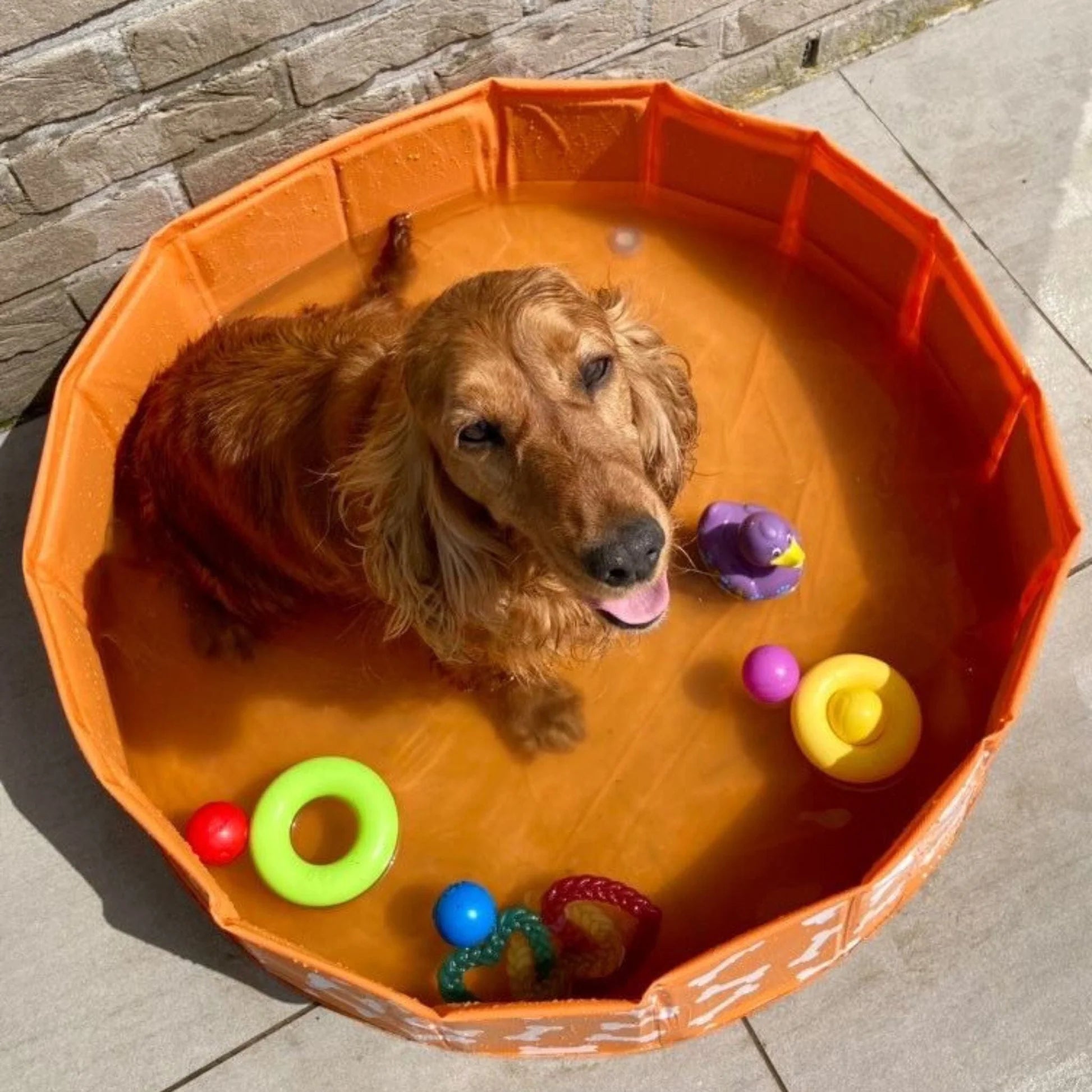 Swim Essentials - Bonebash | Oranje Honden Zwembad Ø 80 cm - Azzura Pool