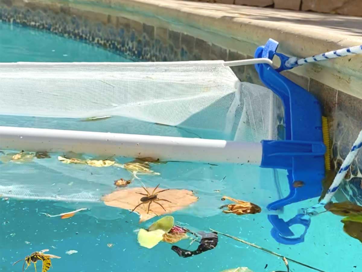 XL bladschep blauw - Azzura Pool
