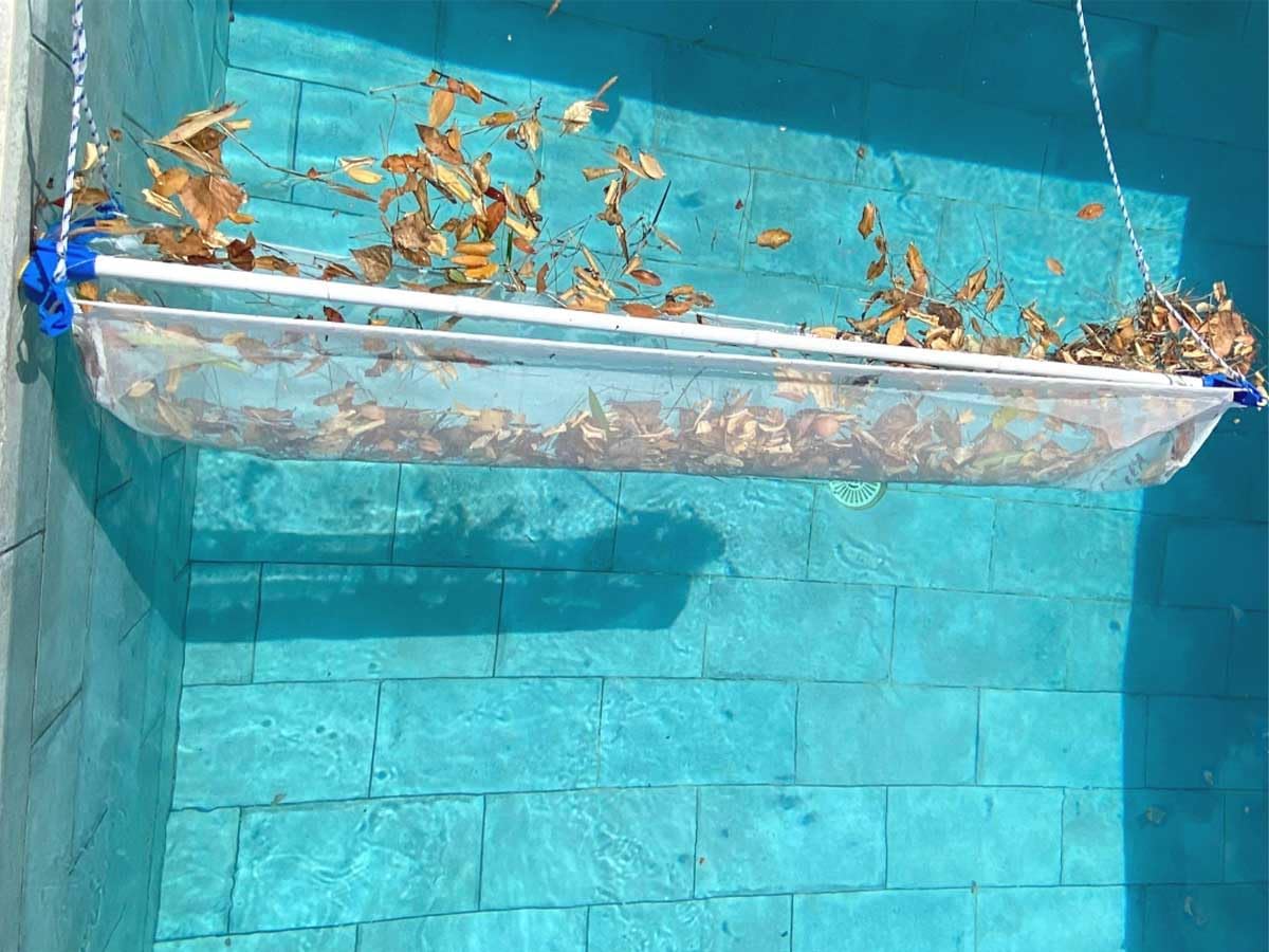 XL bladschep blauw - Azzura Pool
