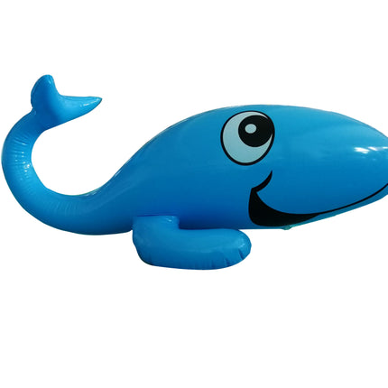 Didak Pool Walvis Sproeier