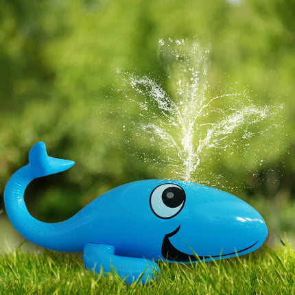Didak Pool Walvis Sproeier