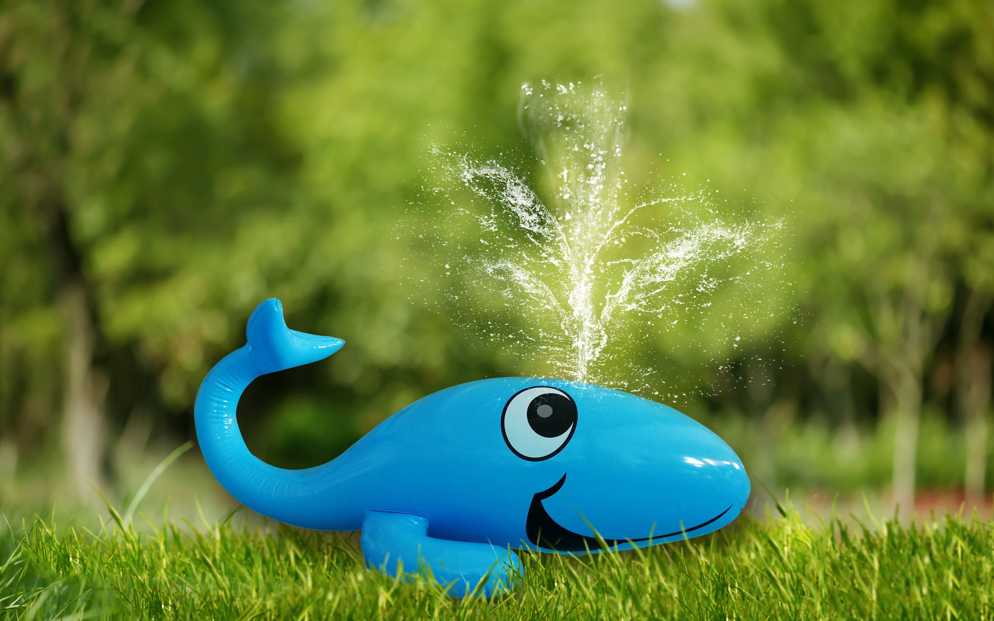 Didak Pool Whale Sprayer