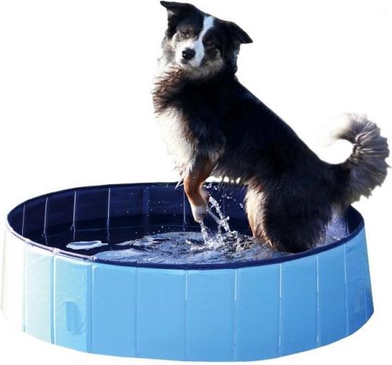 Piscine pour chien Trixie bleu clair / bleu