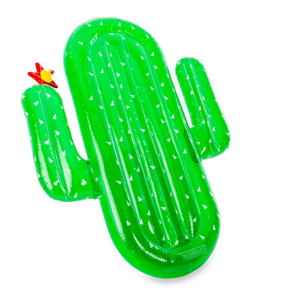Didak Pool Opblaasbare Luxe Cactus