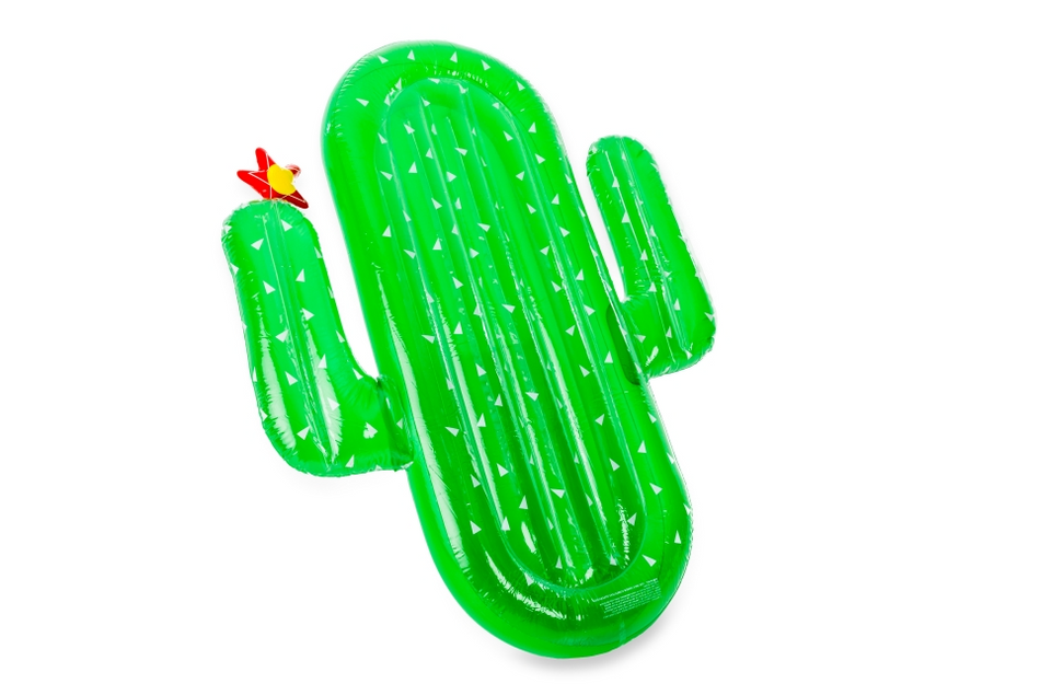 Didak Piscina Gonfiabile di Lusso Cactus
